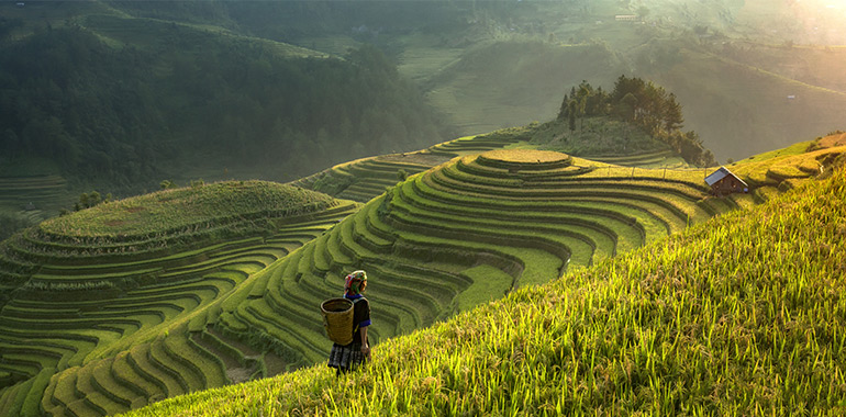 Bangkok, Vietnam y Cambodia | OITSA