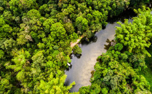 oitsa-blog-iquitos-peru-amazonas