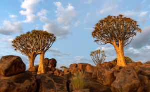 Tesoros de Namibia