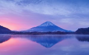 JAPÓN CLÁSICO 2026 – 2027