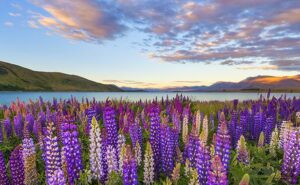 NUEVA ZELANDA Y AUSTRALIA GRAN TOUR 2026