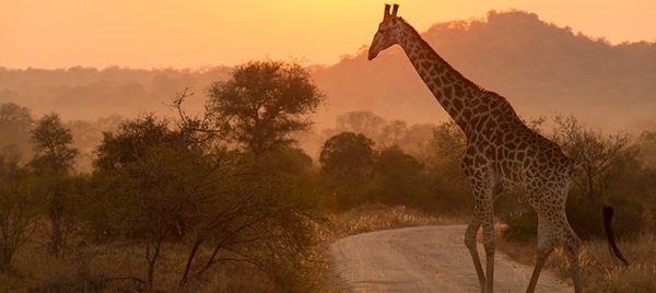 oitsa-sudafrica-maravillosa-cataratas-victoria-kruger
