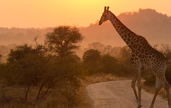oitsa-sudafrica-maravillosa-cataratas-victoria-kruger